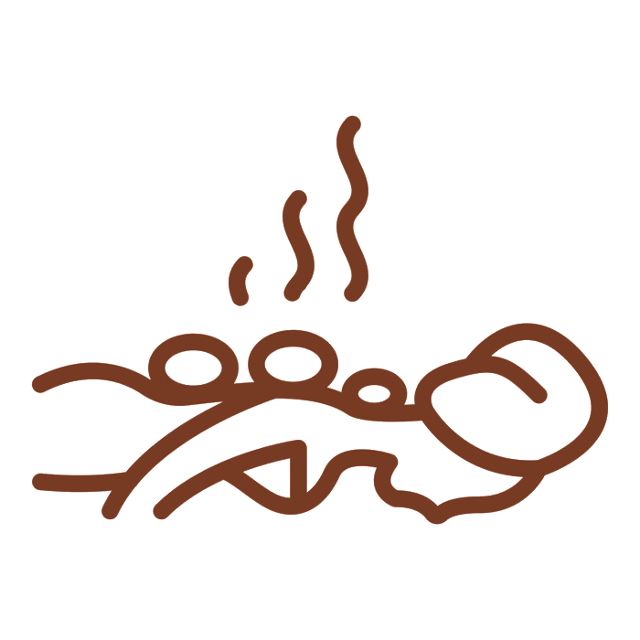 hot stone massage icon outline style vector